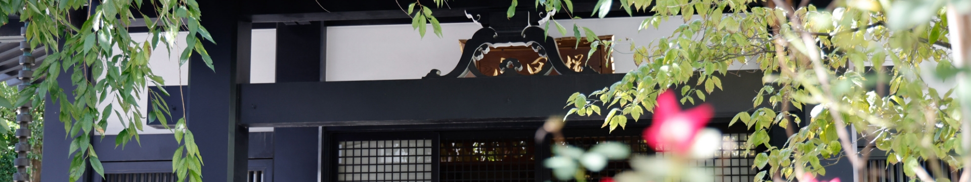 光円寺から見える青空