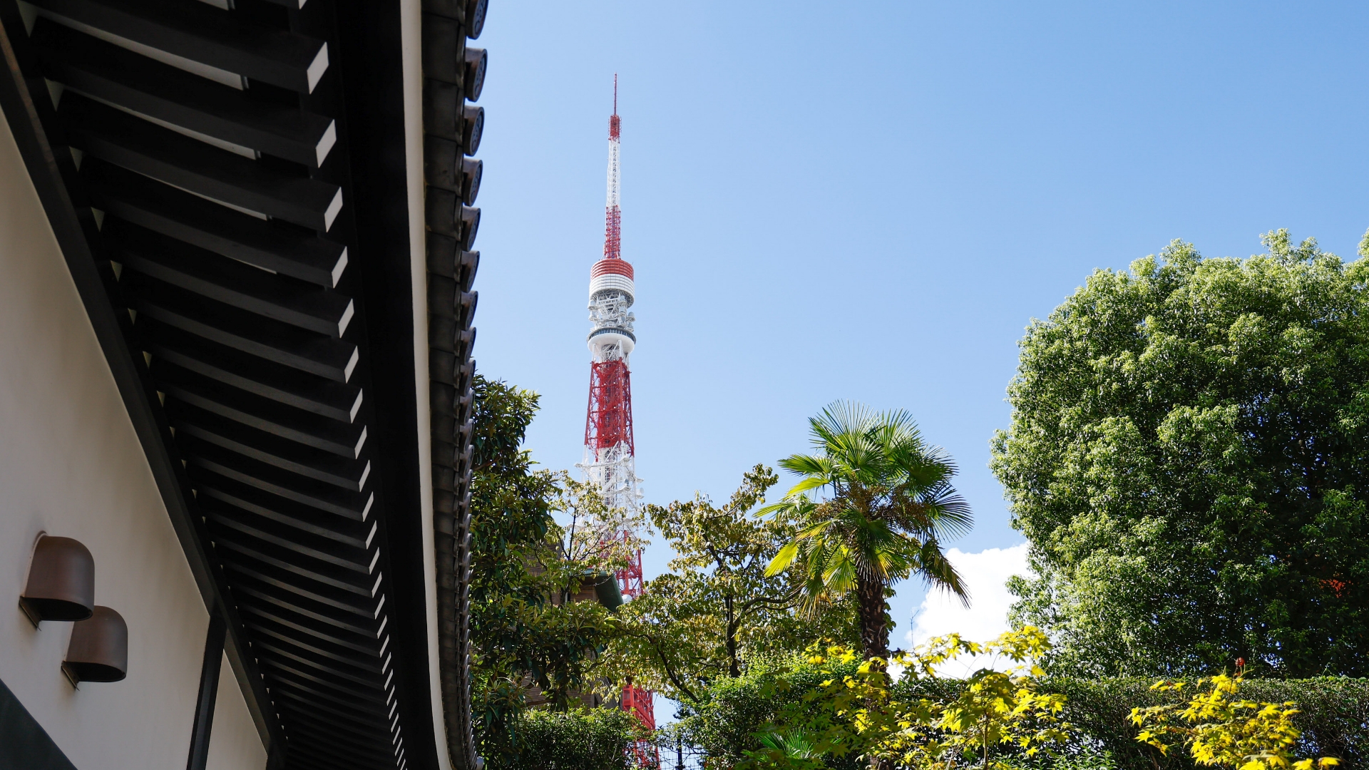 光円寺から見える東京タワー